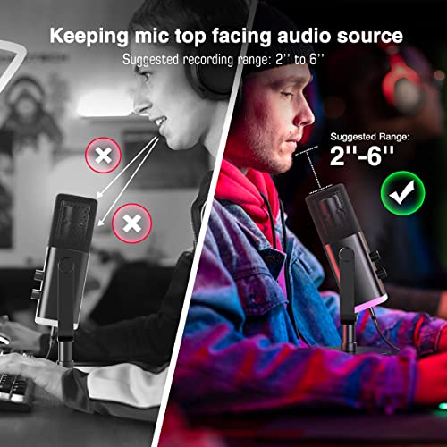 FIFINE XLR/USB Dynamic Microphone for Podcast Recording, PC Computer Gaming Streaming Mic with RGB Light, Mute Button, Headphones Jack, Desktop Stand, Vocal Mic for Singing YouTube-AmpliGame AM8 - Image 2