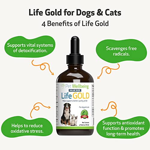 Pet Wellbeing Life Gold for Dogs and Cats - Vet-Formulated - Immune Support and Antioxidant Protection - Natural Herbal Supplement 4 oz (118 ml) - Image 6